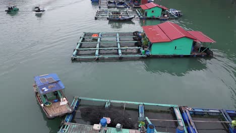 Toma-De-Drones-De-Un-Colorido-Pueblo-Pesquero-Flotante-Con-Barcos-En-Cat-Ba-Y-La-Bahía-De-Halong-En-El-Norte-De-Vietnam