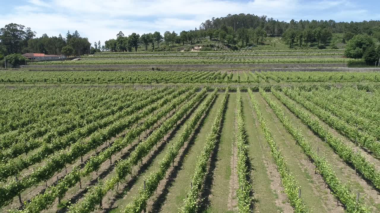 vides en una bodega vista aérea