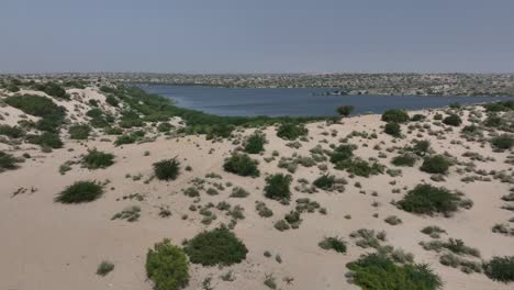 oasis del lago botar en medio de las arenas de sanghar, pakistán
