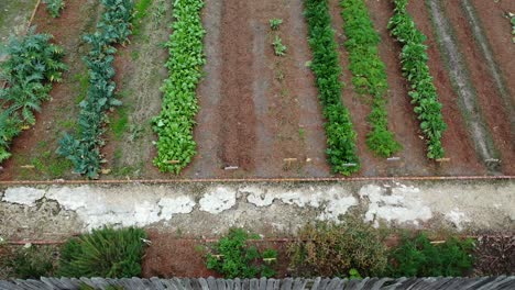 garden on an old plantation in baton rouge, louisiana