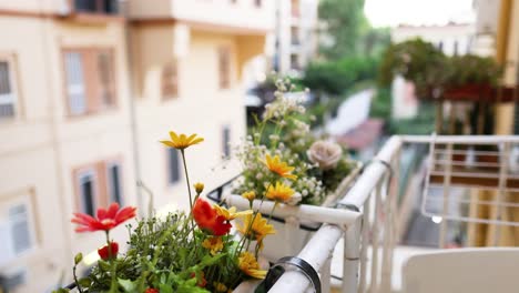 colorful flowers on a balcony in naples