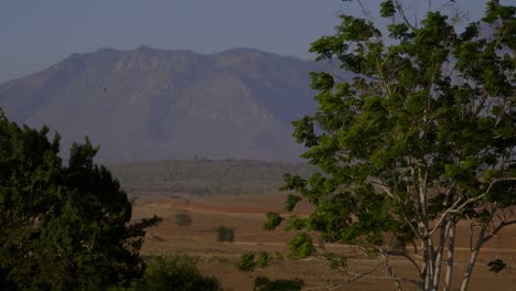 Tiro-Estático-A-Través-De-árboles-Verdes-De-Caravana-Conduciendo-Hacia-Su-Viaje-En-La-Naturaleza