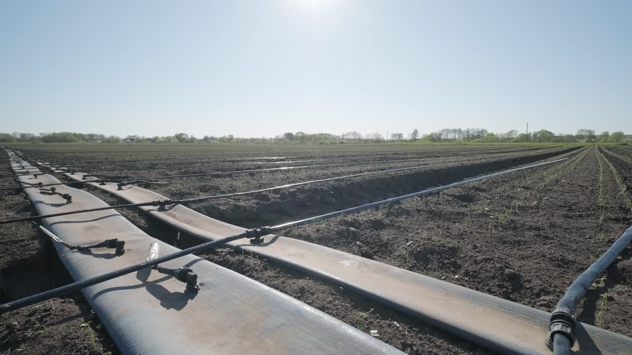 sistema de riego en tierras agrícolas. sistema de riego por goteo que ahorra agua que se utiliza en un campo.