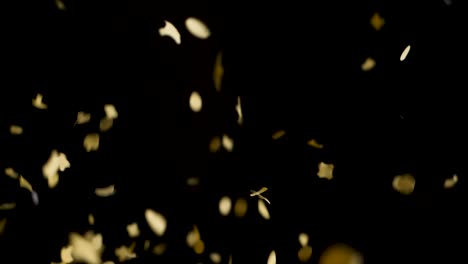 Confetti-explosion-on-black-backround