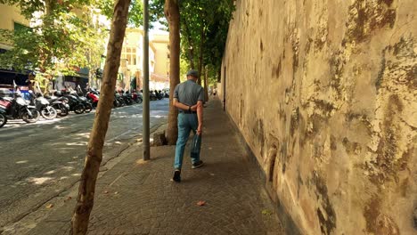 a man strolls down a tree-lined sidewalk