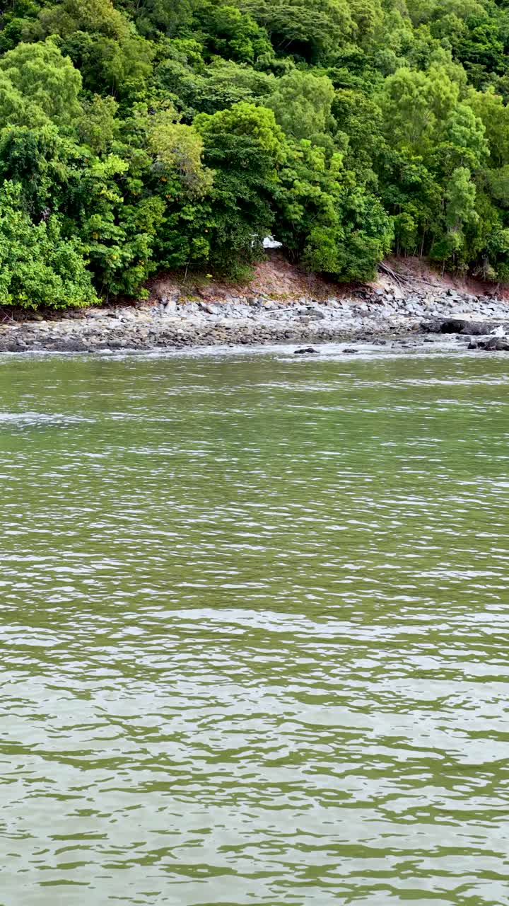 Acqua verde che lambisce dolcemente una costa rocciosa con una foresta lussureggiante