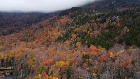 aerial view of autumn foliage of white mountain national forest new hampshire