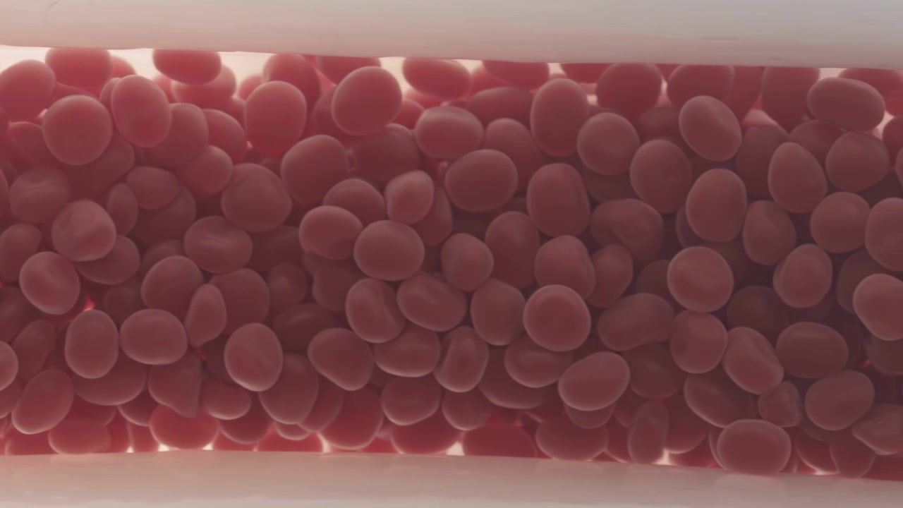 Flowing fluid pushing red biconcave cells sliding and deforming inside tubular lumen, soft lighting