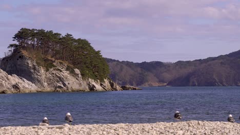 long view out on ocean with cliffs in background and out of focus seagulls