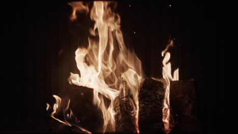 leña de roble arde en una chimenea. vídeo en cámara lenta