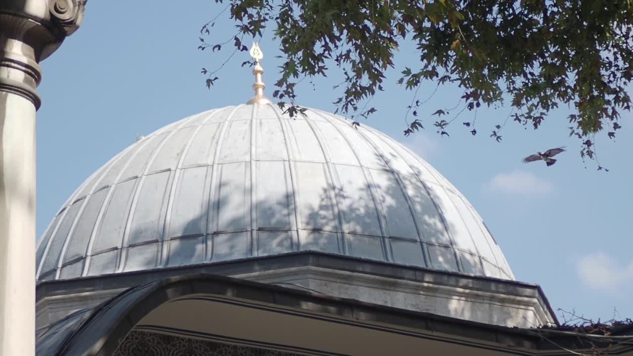 Ottoman Dome and Trees