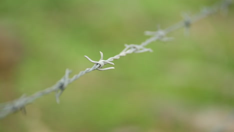 Stacheldrahtzaun,-Nahaufnahme,-Schwenk-Nach-Rechts