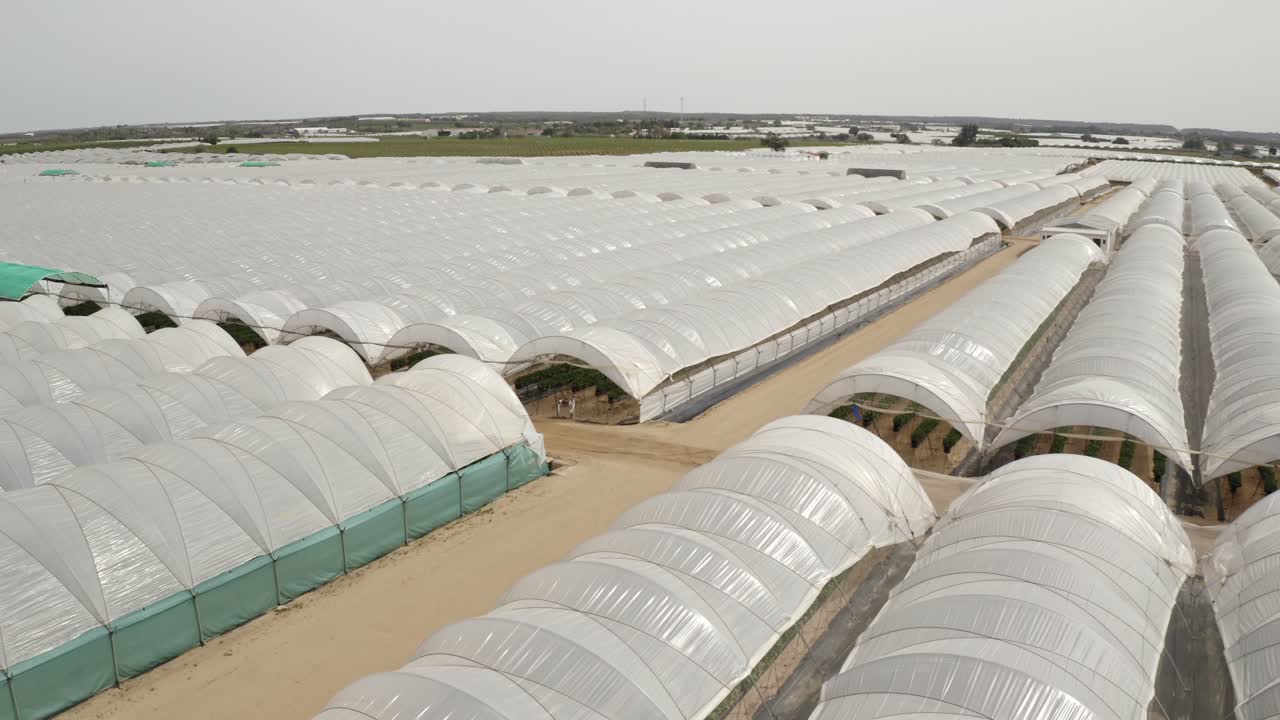 스페인의 대규모 온실 농장의 항공 영상