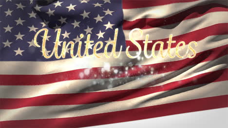 animation of united states text with fireworks over american flag