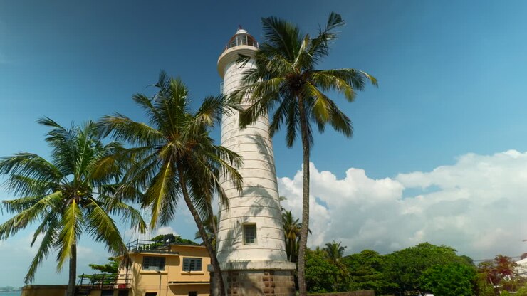 Lighthouse in Sri Lanka with Palm Trees