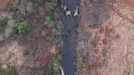 narrow river flowing in the wilderness of county kerry in ireland. aerial topdown shot