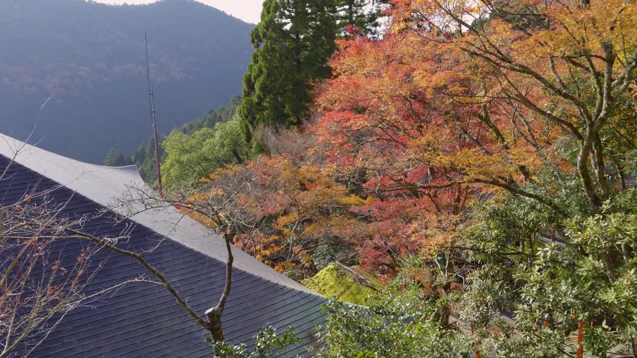 가을의 색에 산 꼭대기에 있는 일본 사원 지붕을 가로질러 천천히 슬라이더