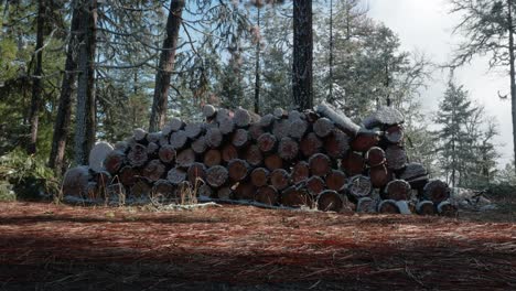 a pile of fire wood, atop roxy ann, rogue valley, southern oregon