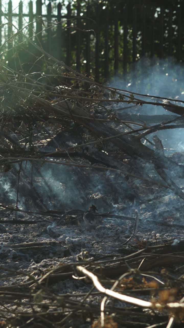 Vertical Video Lots of Smoke Back Lit By Setting Sun with Metal Fence Background on Stack of Burning Twigs and Charred Ground