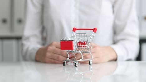 woman holding toy grocery basket at table closeup 4k movie