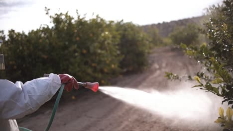 farmer spray insecticide, pesticide, pesticides or insecticides spraying on lemon trees agricultural field in spain