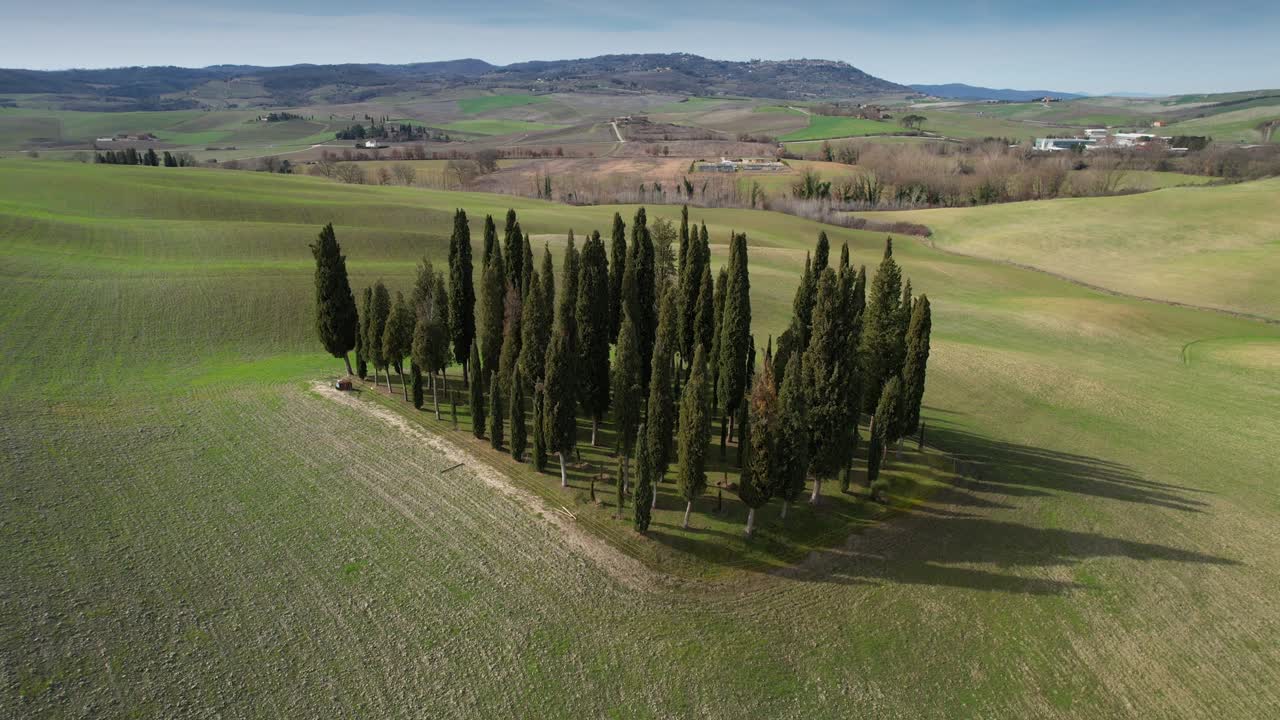 grupo de cipreses en la toscana cerca de san quirico d'orcia. vista aérea circular de cipresos en el valle de orcia, italia