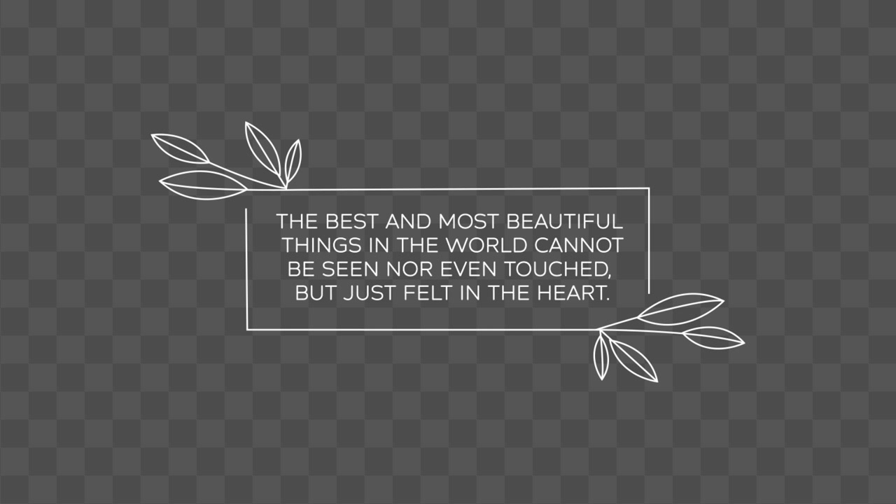 Quote 01
Adobe Premiere Pro 2023
Resolution 3840×2160