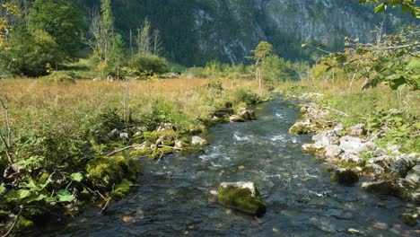 Magische-Landschaft-Aus-Regenwald-Und-Fluss-Mit-Felsen