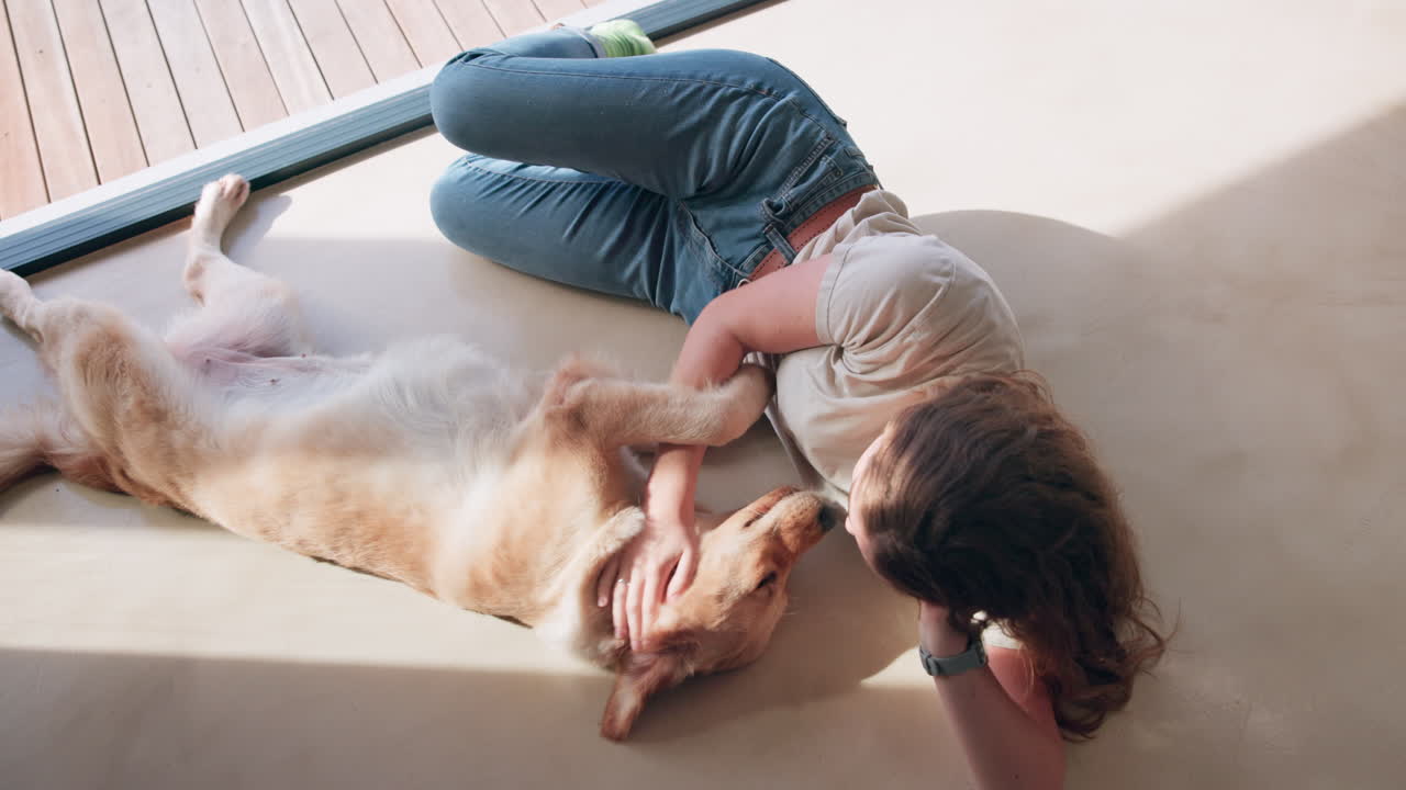 Woman playing with her golden retriever dog indoors