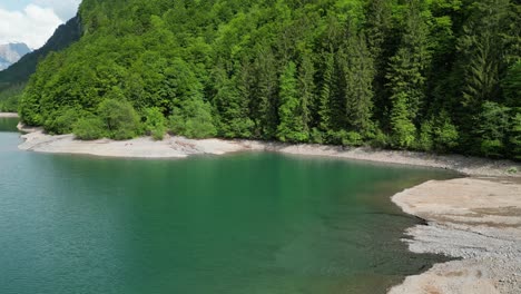 view of a lakescape's shore with trees behind