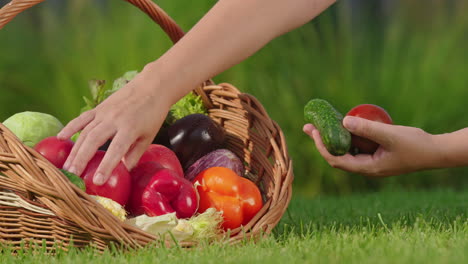 cesta de verduras frescas