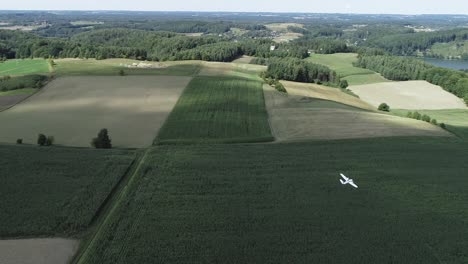 white radio-controlled aircraft model flying over lush green meadow - aerial tracking