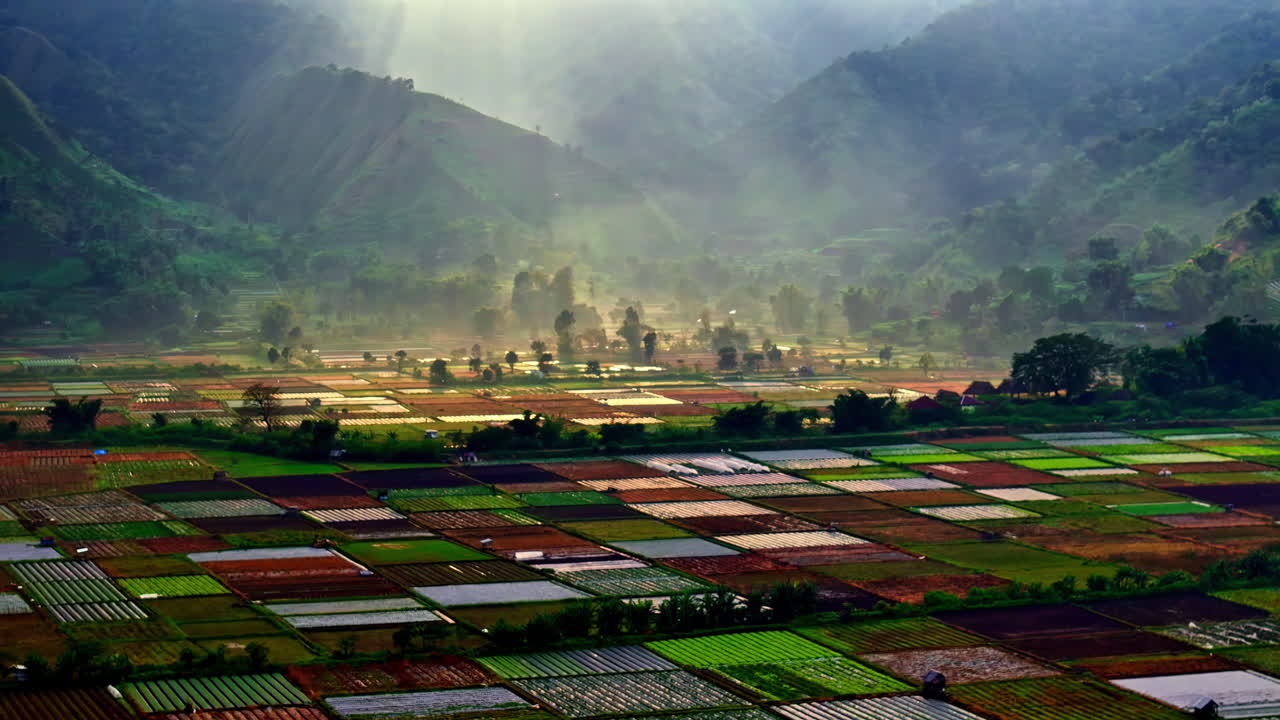 Morning sunlight over colorful farmlands in Bukit Selong, Lombok in Indonesia