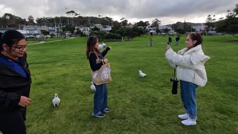 friends taking photos with cockatoos in a park