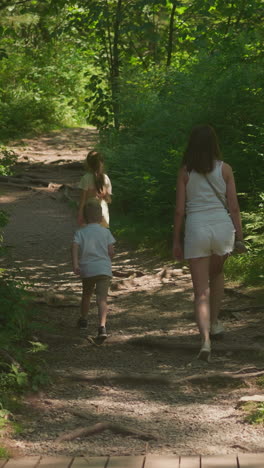 young woman and children walk along path surrounded by green trees backside view. mother and couple of siblings rest walking in forest on hot summer day slow motion