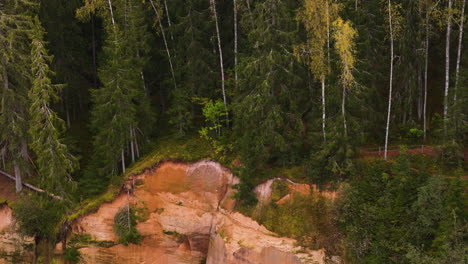 geological cliff site with dense forest above, aerial view