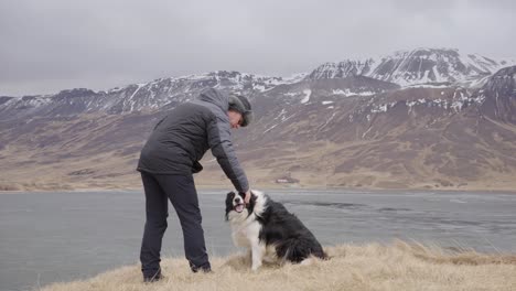 man pet border collie dog in icelandic mountain landscape on windy day