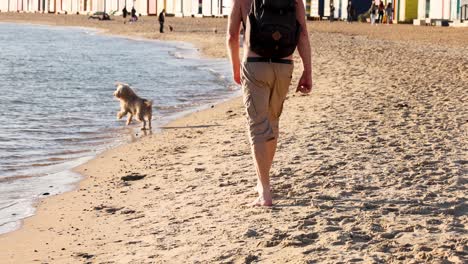 man and dog enjoying a beach walk