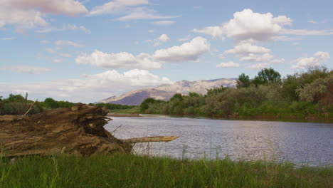 tomada constante de la orilla del río río grande en albuquerque