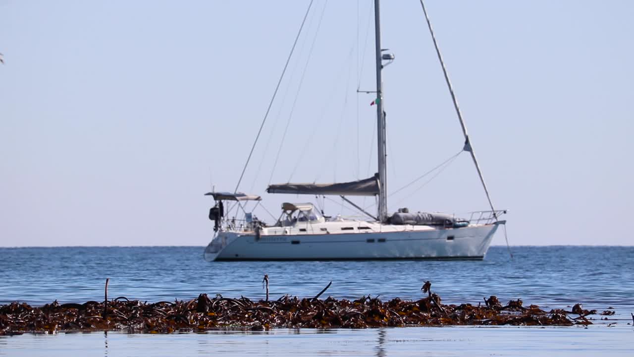 la inclinación de un bosque de algas flotando y balanceándose en el océano abierto revela un barco de vela anclado