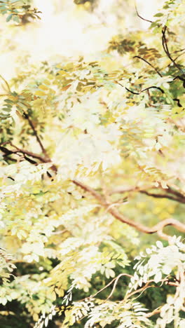 close up of green leaves and branches on a tree