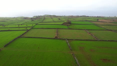 El-Paralaje-Aéreo-Revela-Exuberantes-Tierras-De-Cultivo-Verdes-Divididas-Por-Basalto-Volcánico-En-Terceira,-Azores.