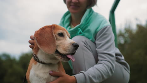 elegant dog owner smiling warmly while playing with dog outdoors on wooden platform under cloudy sky showing affection joy and strong bond between pet and human during relaxed cheerful training
