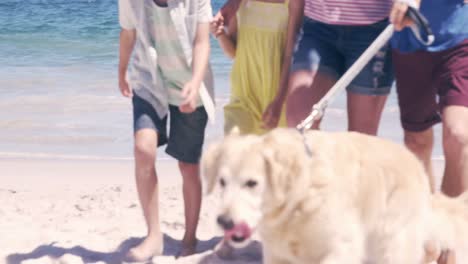 Cute-family-walking-the-dog