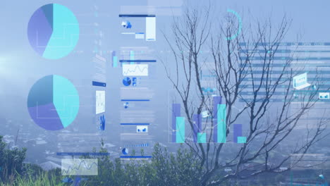 hillside scene featuring transparent data charts overlaying hazy skyline with shrubs, bare branches