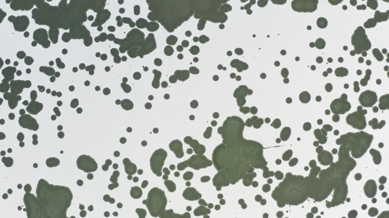 독일의 얼어붙은 호수 위로 매우 가까이 날아가는 4k 드론의 드론 항공 영상