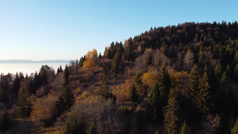 Drohnenaufnahme-Eines-Berges,-Der-Im-Herbst-Von-Einem-Bunten-Wald-Bedeckt-Ist