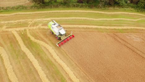 Drone-footage-of-golden-fields-and-combine-harvester