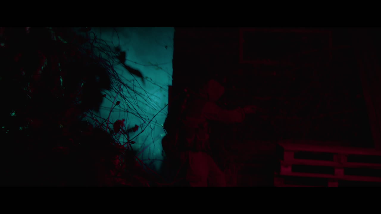 Nighttime Urban Action Scene