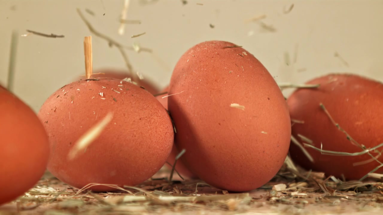Slow Motion Hay Falling on Brown Eggs